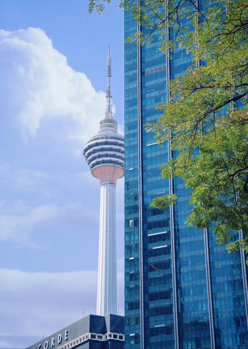 新马泰是什么梗/新马泰网红是谁