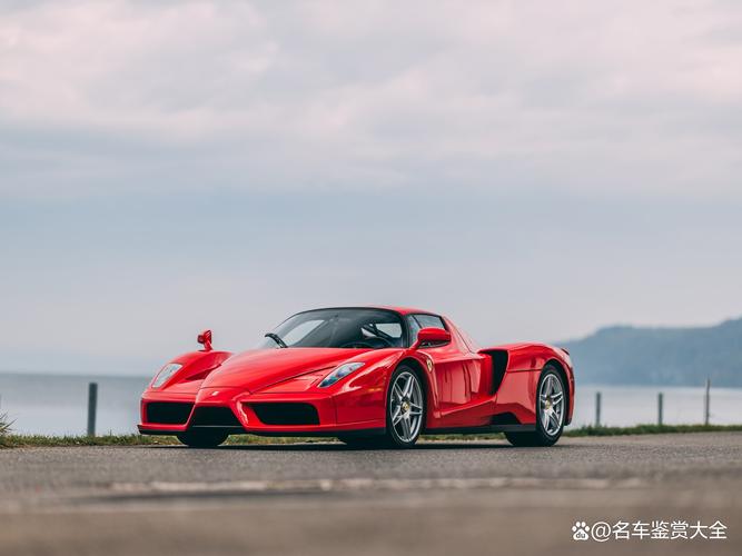 中国有法拉利恩佐吗(中国有多少量法拉利)