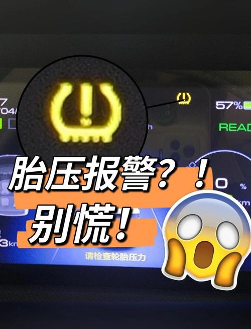 【passat胎压报警消除,passt胎压复位】