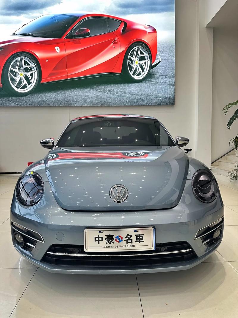 甲壳虫的车/甲壳虫的车标