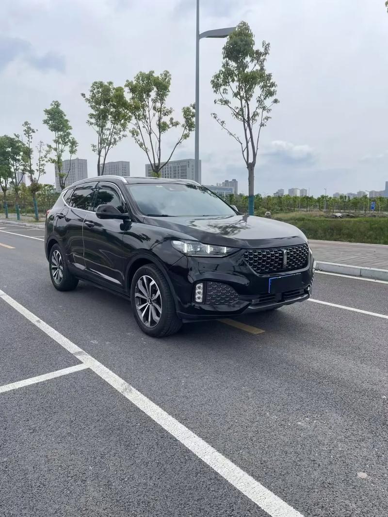 【魏派哪款车值得购买,魏派性价比】